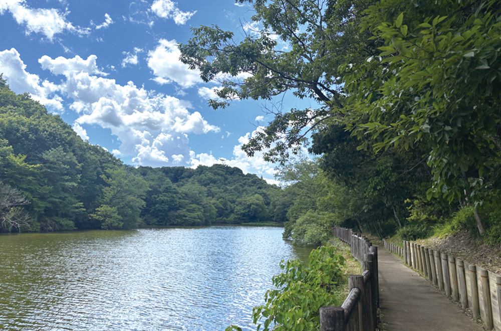 けいはんな記念公園（芽吹きの森）