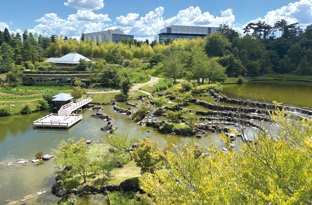 けいはんな記念公園（水景園）写真
